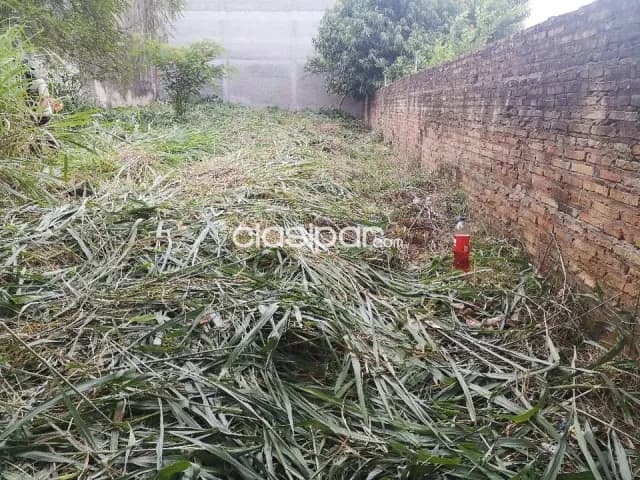 Terreno de 12x36 m2 en barrio Picada de Villa Elisa zona Parque Serenidad, foto 3