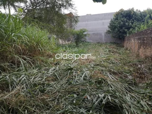Terreno de 12x36 m2 en barrio Picada de Villa Elisa zona Parque Serenidad, foto 4
