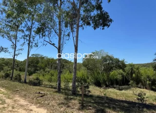 Terrenos en Loma Grande con Arroyo — foto 3