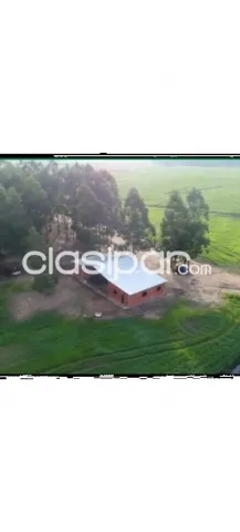 Propiedad agrícola en expansión sojera, foto 3