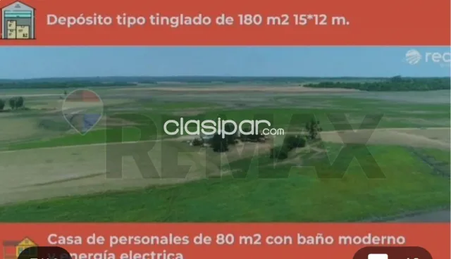642 hectáreas caazapa distrito 3 de mayo c/silo propio listo p/trabajar equipado — foto 3