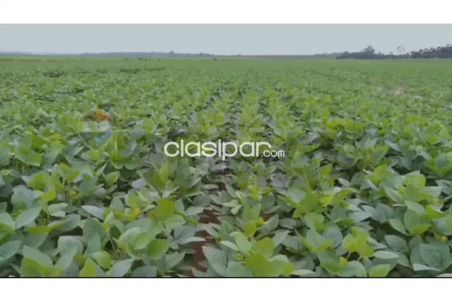Propiedad agrícola en expansión sojera — foto 3