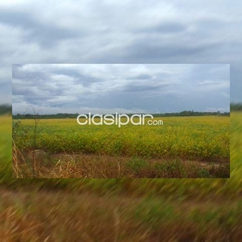 386 hectáreas MECANIZADAS INTEGRAMENTE, VENDO SLO/CDO., Programar visita a la propiedad ‼️