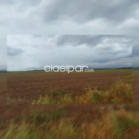 386 hectáreas MECANIZADAS INTEGRAMENTE, VENDO SLO/CDO., Programar visita a la propiedad ‼️, foto 5