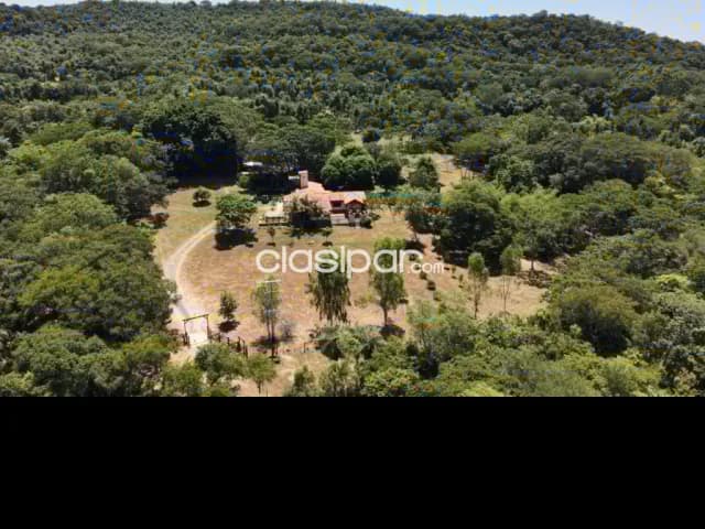 Finca en entorno natural cerca de Caacupé con 2,5 hectáreas y casa con encanto, foto 3