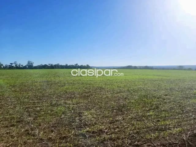 Campo Agrícola Mecanizado en Alto Verá - 543 Ha, foto 4