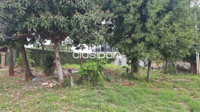 Terreno en Luque zona makai cod 3714