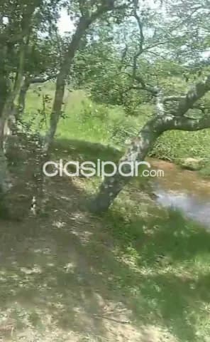 En venta terreno con arroyo en paraguari mbatovi — foto 3