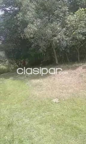En venta terreno con arroyo en paraguari mbatovi — foto 4