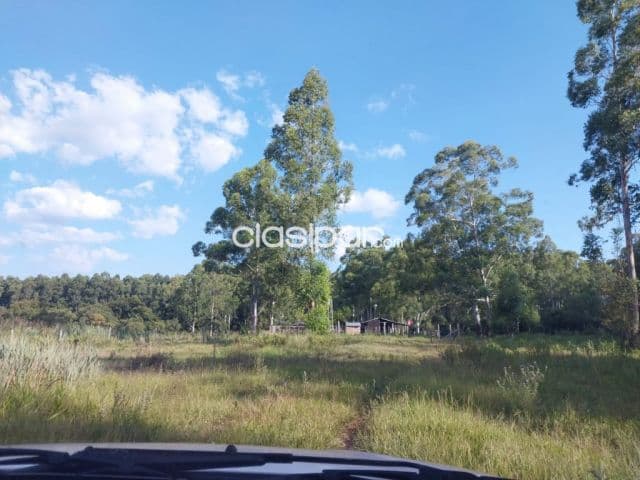 Casi 5 hectáreas en san luis de carmen del paraná