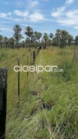 Campo de 533 Hectáreas en el Distrito de Villa del Rosario - CLCS7897346