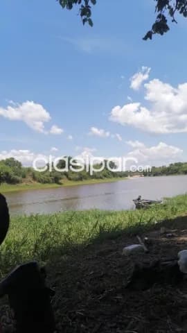 Campo de 533 Hectáreas en el Distrito de Villa del Rosario - CLCS7897346, foto 5