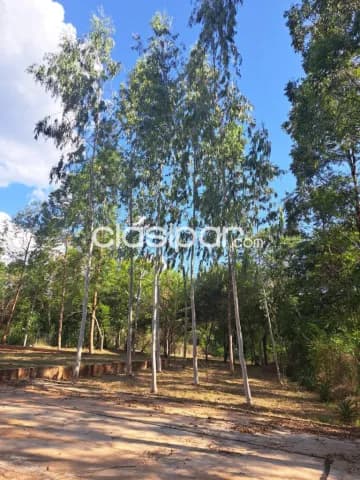 Terreno en limpio cod 6488, foto 5