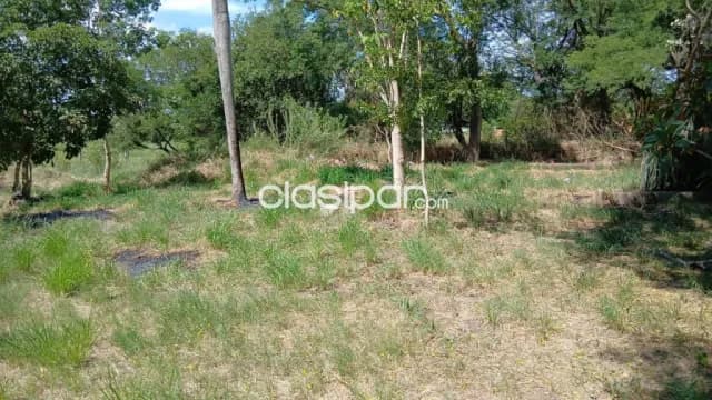 5 terrenos en limpio cod 6413, foto 3