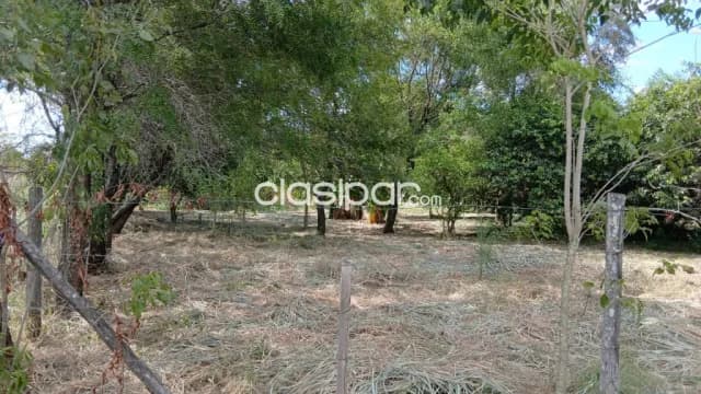 5 terrenos en limpio cod 6413, foto 4