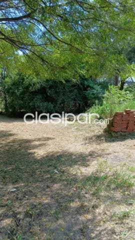 5 terrenos en limpio cod 6413, foto 5