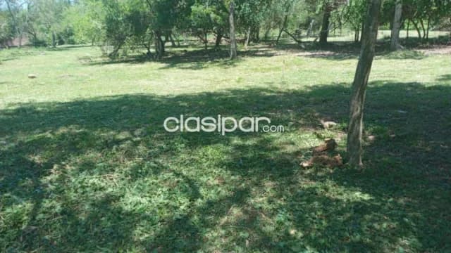 Terreno en San Bernardino- Fracción ciervo cua- zona Heriberta Matiauda — foto 4