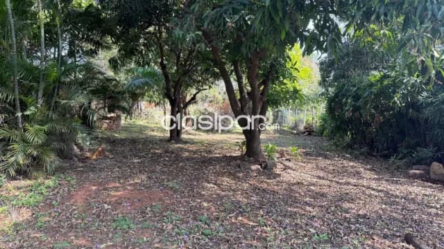 ENDO TERRENO EN Luque (Entrada al Barrio Palma Loma) 1.182 m2, foto 3