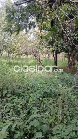 Terreno en Loma Grande sobre Asfaltado 🌟 COD 6415 — foto 3