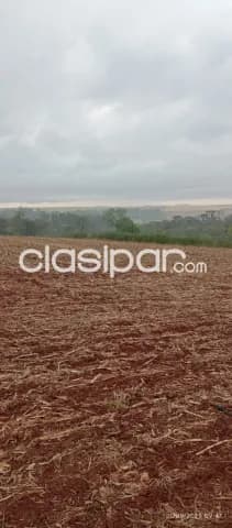 Campo Agrícola Mecanizado en Tomas Romero Pereira — foto 4