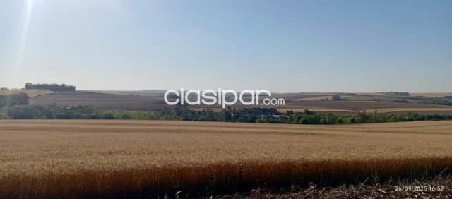 Campo Agrícola Mecanizado en Tomas Romero Pereira — foto 5