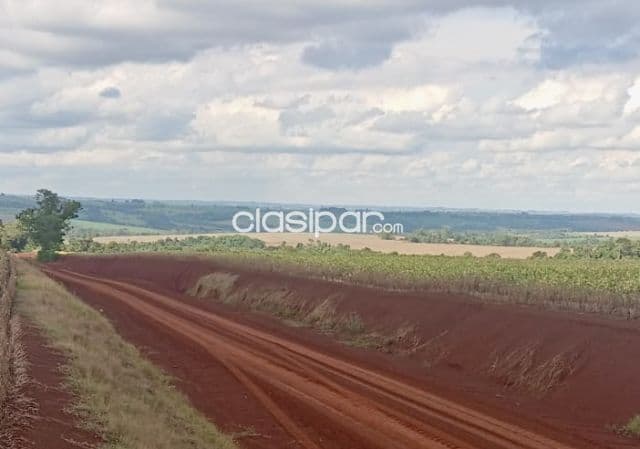 Campo Agrícola Mecanizado en Itapua Poty - 210 Ha