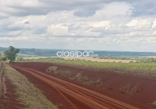 Campo Agrícola Mecanizado en Itapua Poty - 210 Ha — foto 2