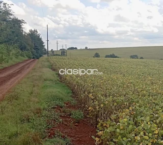 Campo Agrícola Mecanizado en Itapua Poty - 210 Ha — foto 4