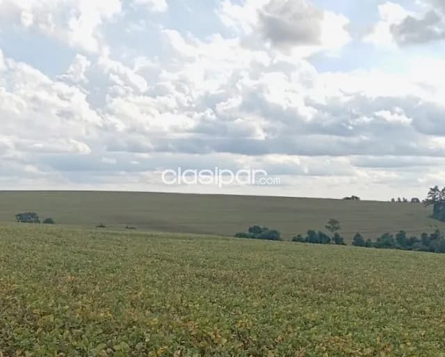 Campo Agrícola Mecanizado en Itapua Poty - 210 Ha — foto 5