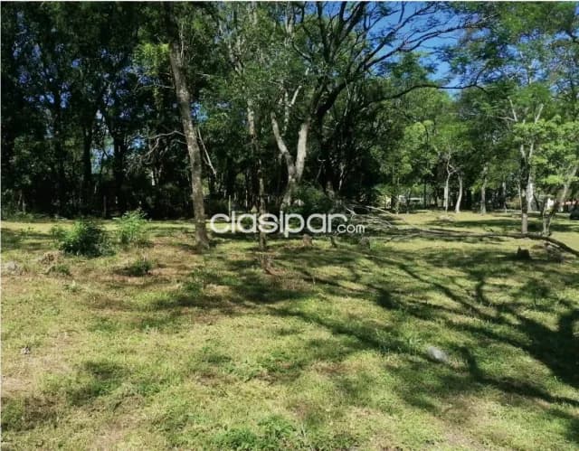 Terreno Rural en Caacupé sobre Ruta Pavimentada - 3 Ha, foto 4