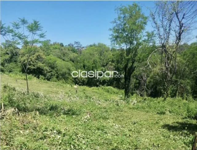 Terreno Rural en Caacupé sobre Ruta Pavimentada - 3 Ha, foto 5