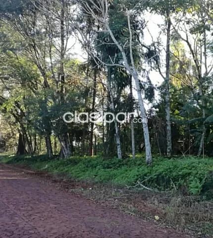 Terreno en obligado itapua cod 6390 precio: 600.000 usd — foto 2