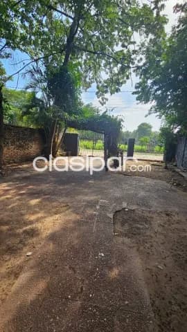 Terreno zona santisima Trinidad - asuncion — foto 3
