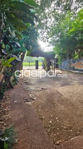 Terreno zona santisima Trinidad - asuncion — foto 5