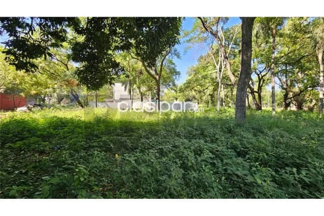 Terreno en Lambaré zona SEK / Plaza de los Mangos, foto 4