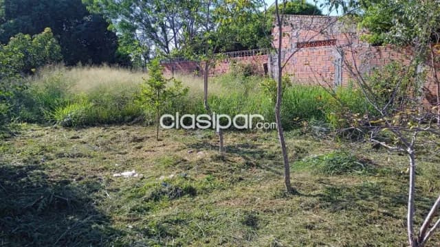 Terreno en limpio colonia bien comun cod 6471, foto 2