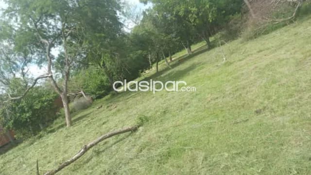 Terreno en San Bernardino- Fracción Ciervo Cuá- Zona Heriberta Matiauda — foto 3