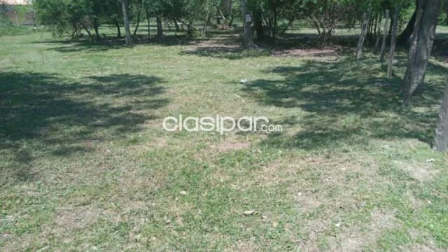 Terreno en San Bernardino- Fracción Ciervo Cuá- Zona Heriberta Matiauda — foto 5