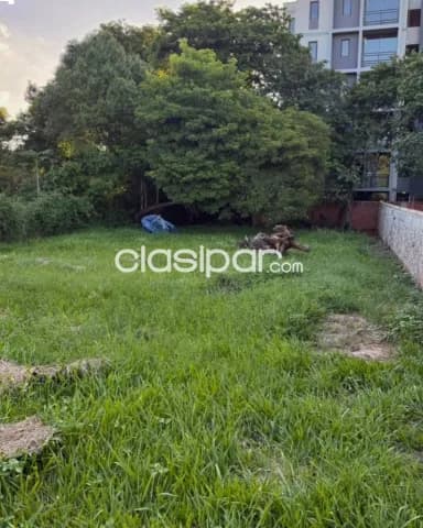 Terreno en Luque, zona cit, foto 3