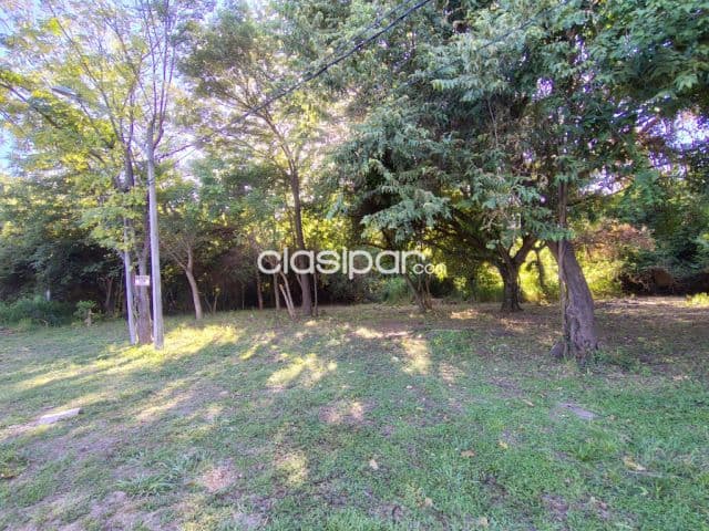 Terreno en venta en limpio, foto 1