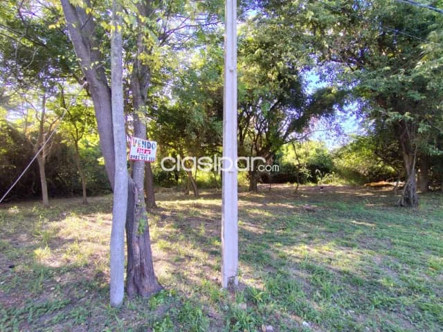Terreno en venta en limpio, foto 3
