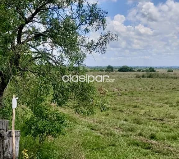 Terreno Rural en Arroyos y Esteros sobre Ruta - 20 Ha — foto 3