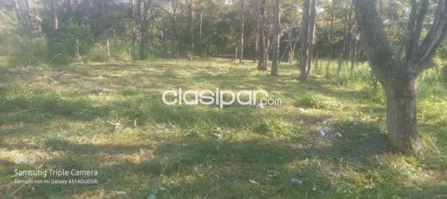 Propietario vende dos terrenos juntos en nueva colombia - barrio santa lucia i, foto 1