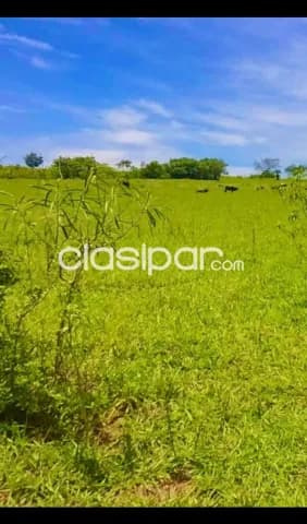 20 hectáreas en caaguazú, foto 3
