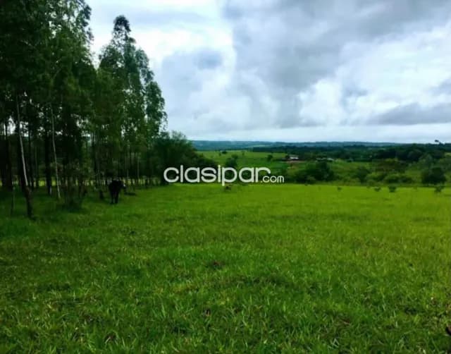 20 hectáreas en caaguazú, foto 4