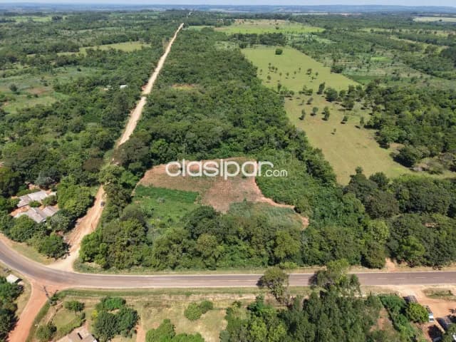 10 Hectáreas Dr Cecilio Báez, En Caaguazú Sobre Asfalto Por: 700 Millones — foto 4