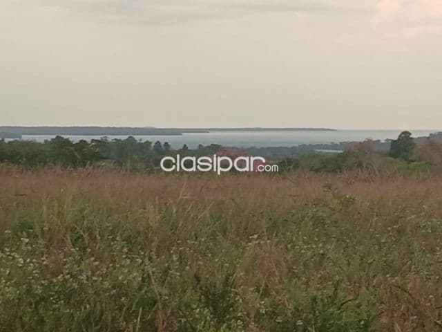Terreno sobre asfalto en una calle lateral con vista al Paraná, foto 1