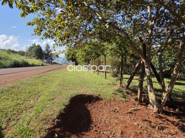4 Hectáreas y Media, Km 14 Monday Minga Guazú, Por: 250.000 Dólares