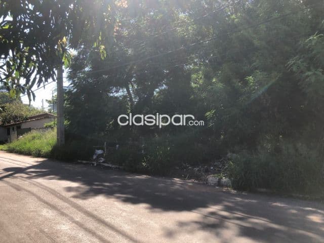 Terrenos en Luque cerca de la municipalidad, juntos o separados — foto 1