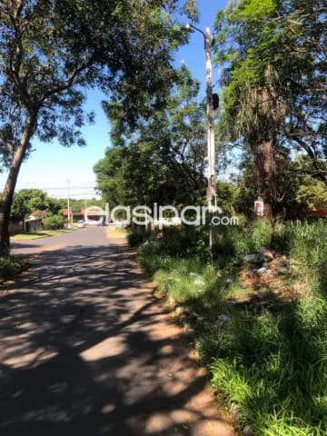 Terrenos en Luque cerca de la municipalidad, juntos o separados — foto 4